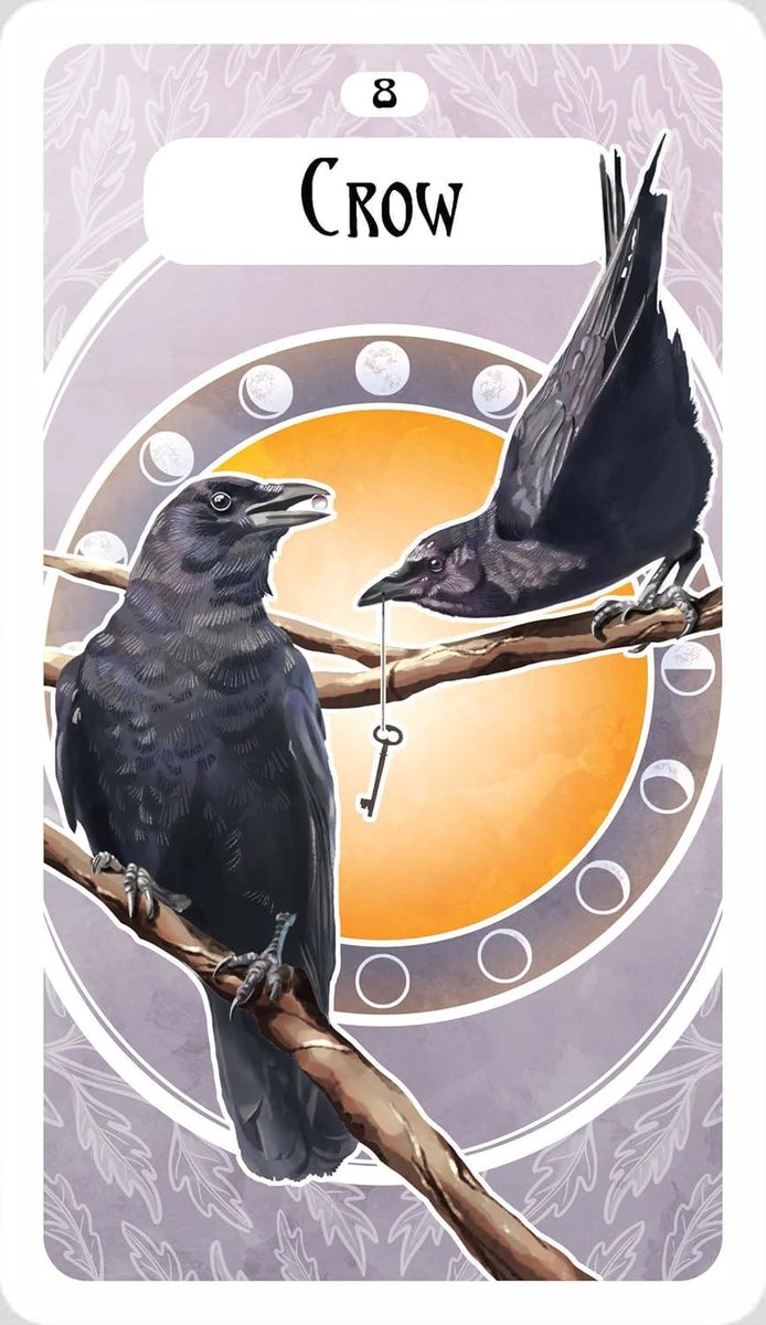The Avian Oracle: (45 Full-Color Cards and 60-Page Guidebook)