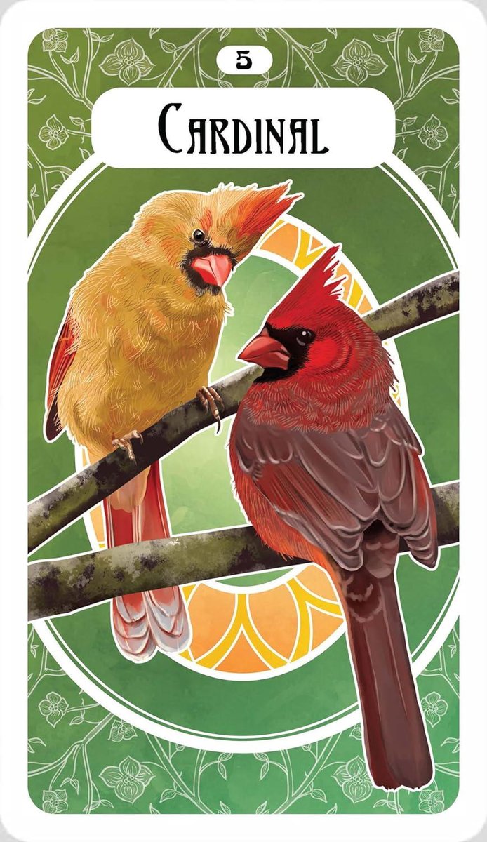 The Avian Oracle: (45 Full-Color Cards and 60-Page Guidebook)