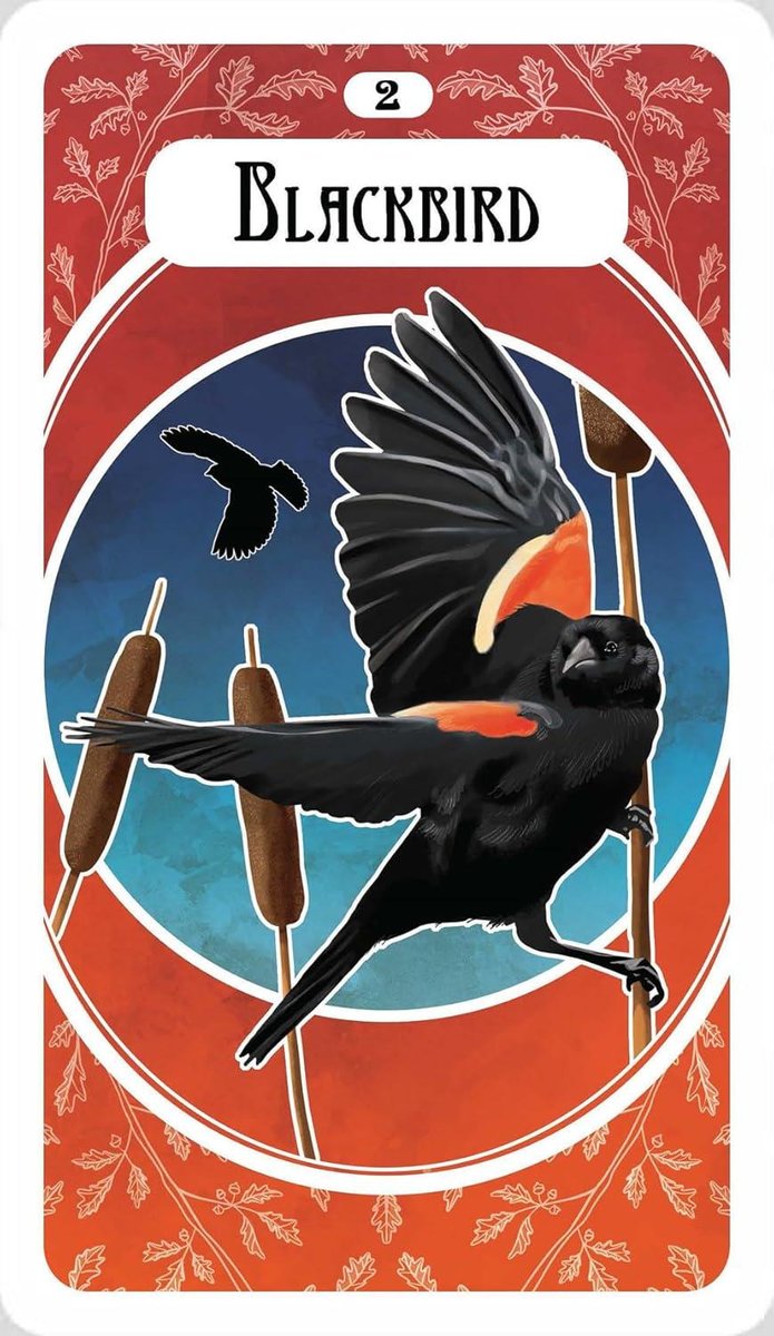 The Avian Oracle: (45 Full-Color Cards and 60-Page Guidebook)