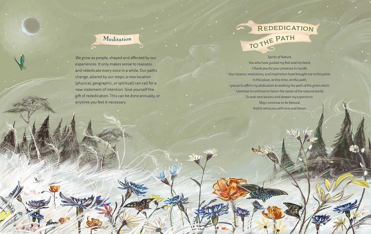 The Green Witch Illustrated: An Enchanting Immersion Into the Magic of Natural Witchcraft (Green Witch Witchcraft)