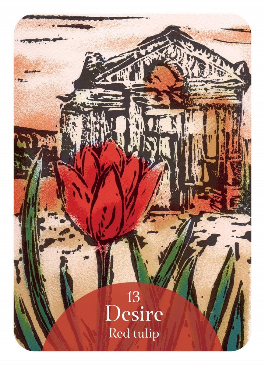 The Language of Flowers Oracle: Sacred Botanical Guidance and Support ( Rockpool Oracle Card )