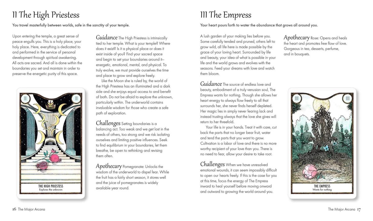 Elemental Power Tarot: Includes a Full Deck of 78 Cards and a 64-Page Illustrated Book [With Book(s)]