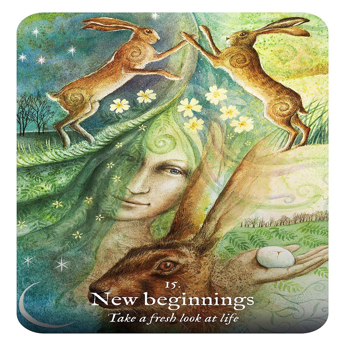 Goddess Dream Oracle: (Book & Cards) (Rockpool Oracle Cards)