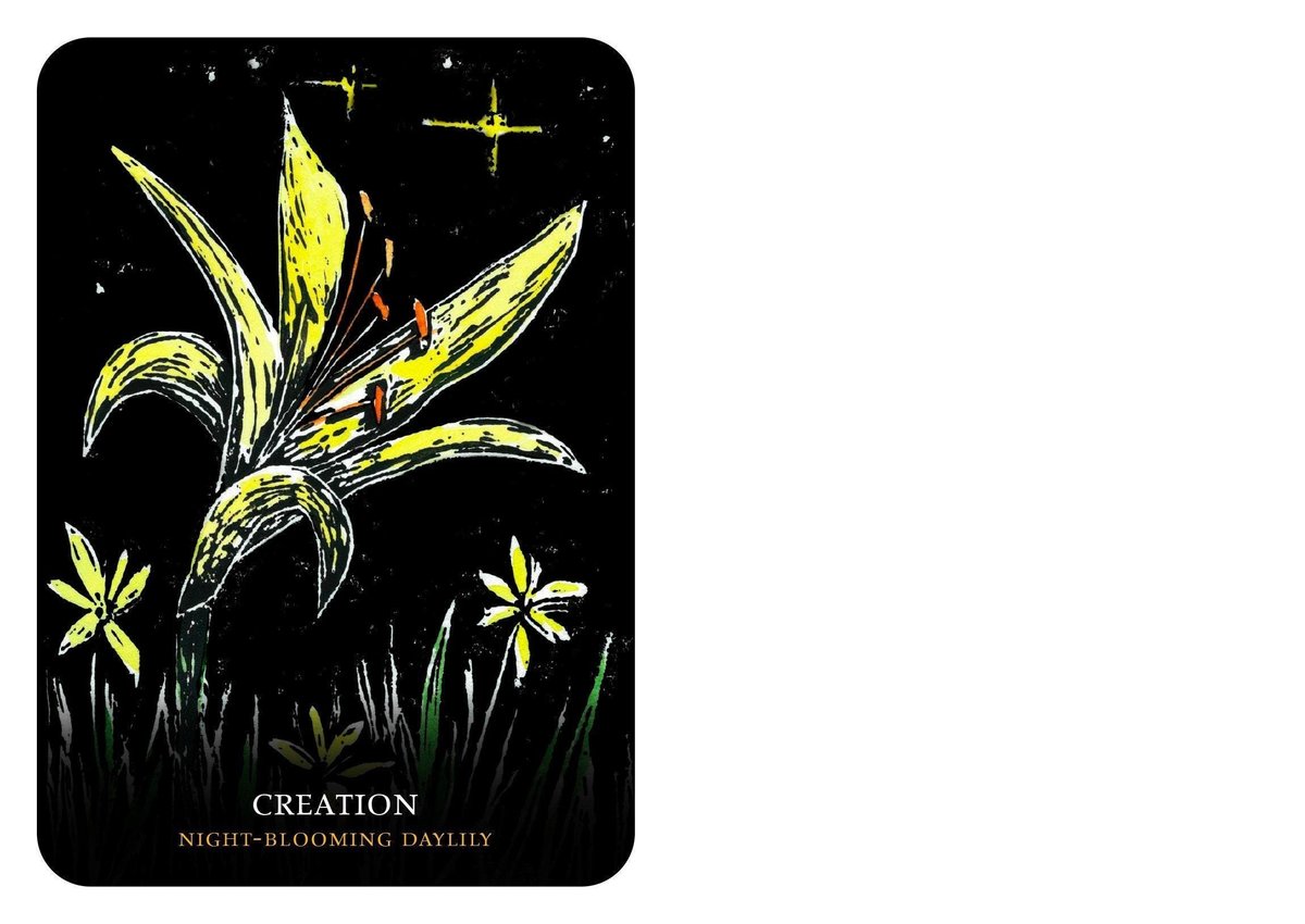 Flowers of the Night Oracle ( Rockpool Oracle Card )