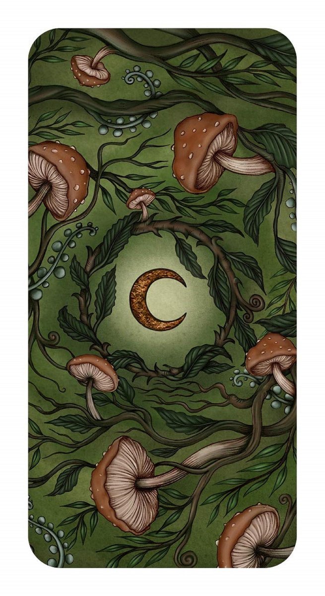 Forest Fae Messages: Curious Messages of Enchantment ( Mini Inspiration Cards )