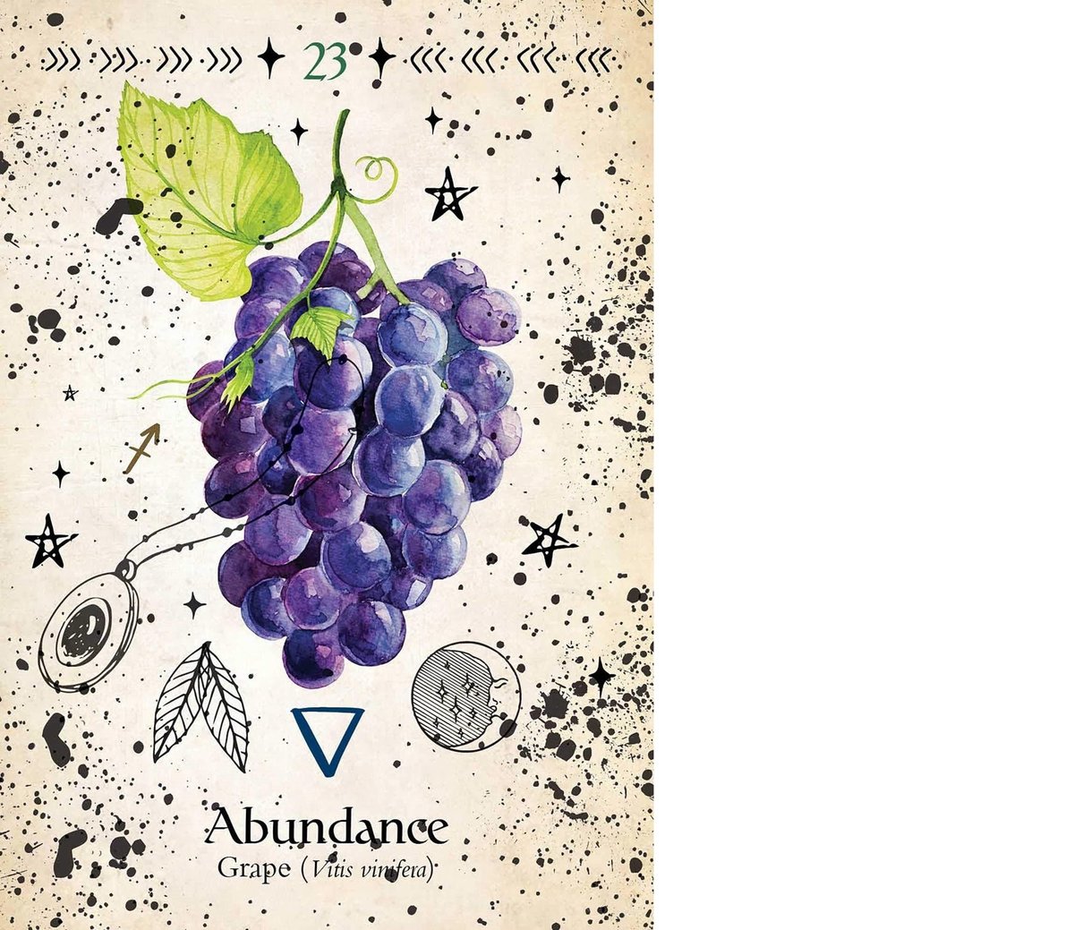 Green Witch Oracle Cards: Discover Real Secrets of Natural Magick