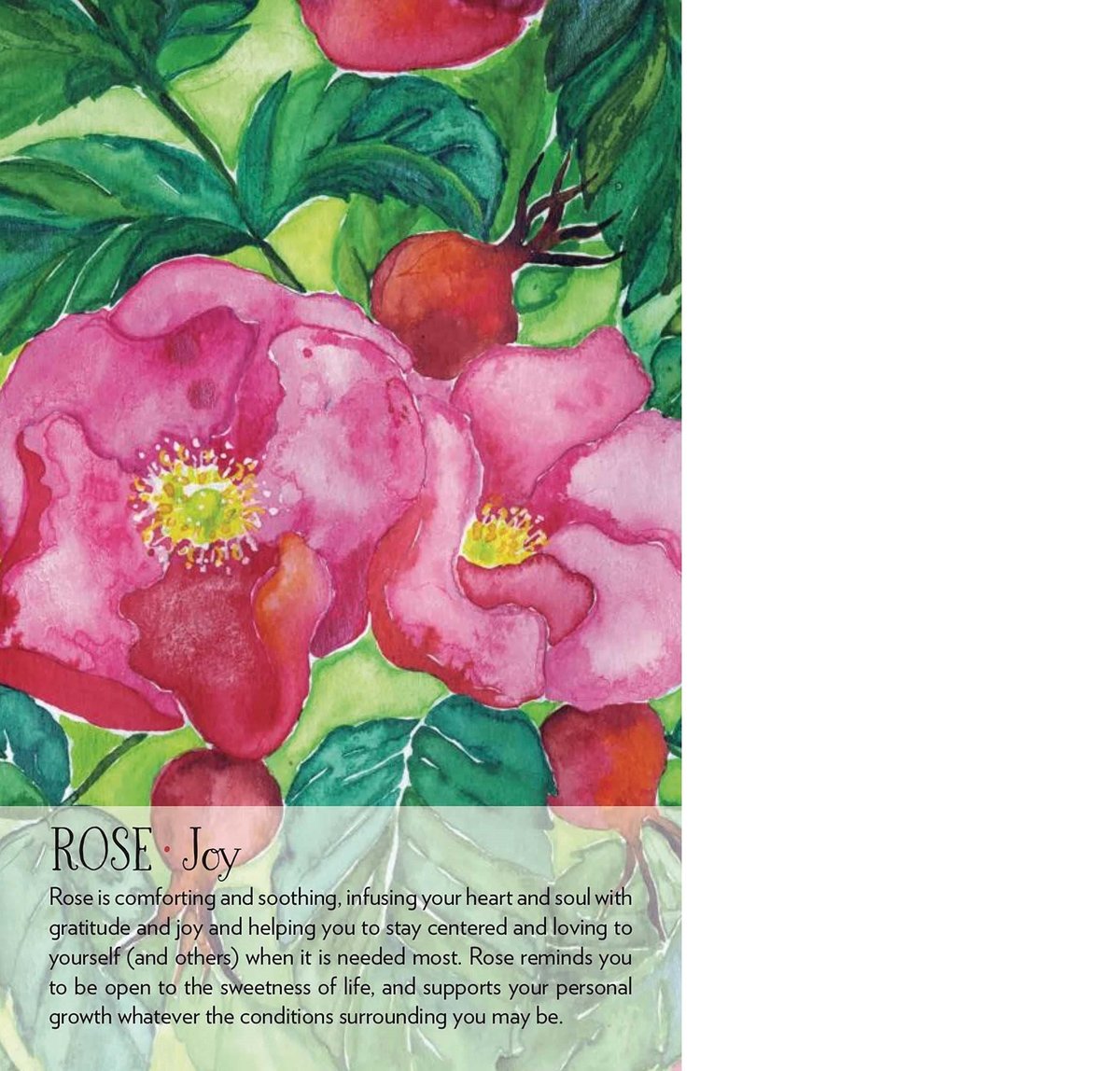 Soulflower Plant Spirit Oracle: 44-Card Deck and Guidebook