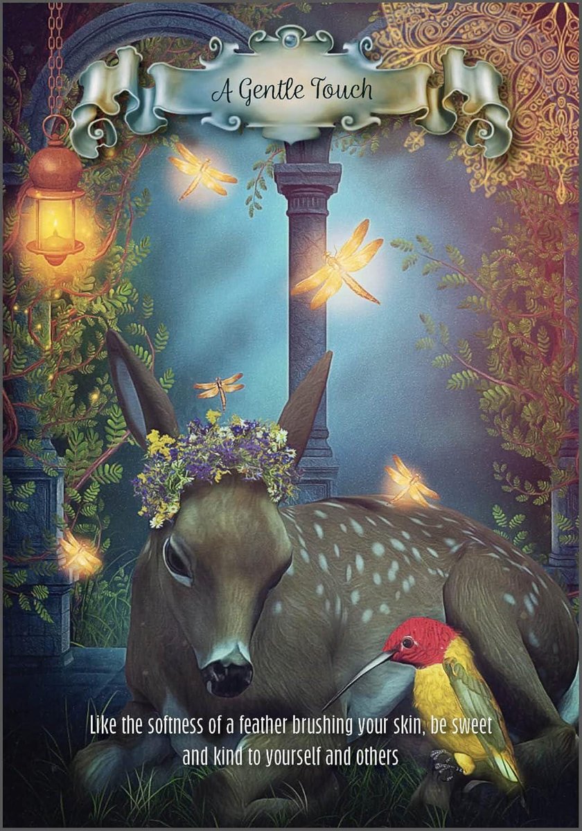 Hummingbird Wisdom Oracle Cards (Legends of Warfare: Aviation #46)