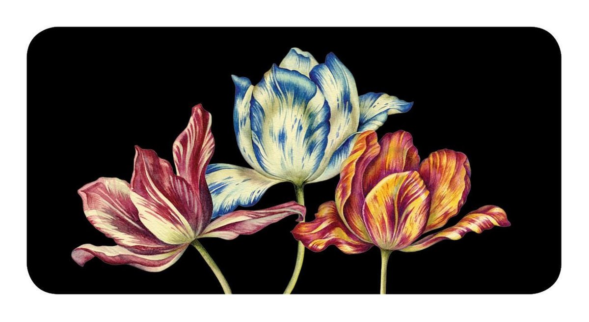 The Language of Flowers: Loving Support from the Wisdom of Nature Rockpool Mini Cards