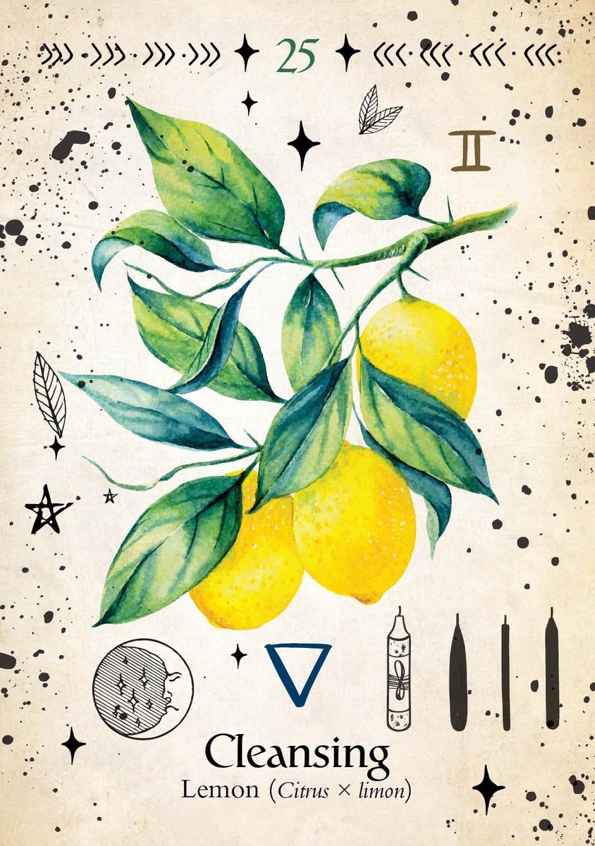 Green Witch Oracle Cards: Discover Real Secrets of Botanical Magick