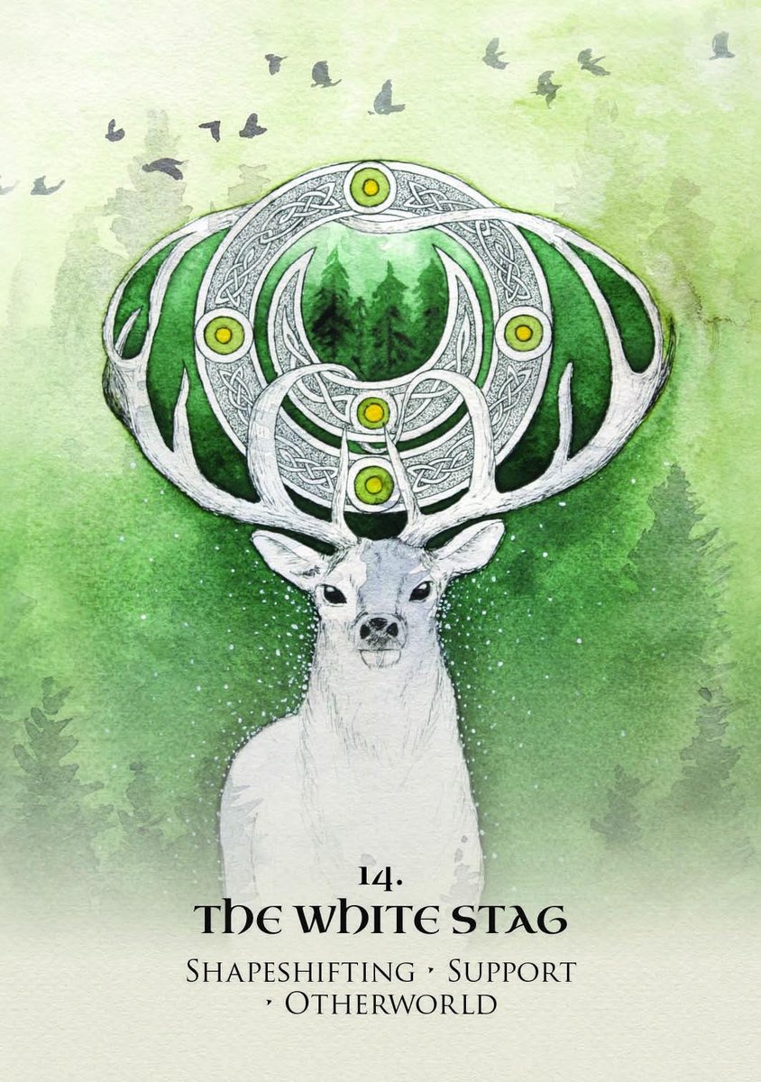 Celtic Spirit Oracle: Ancient Wisdom from the Elementals