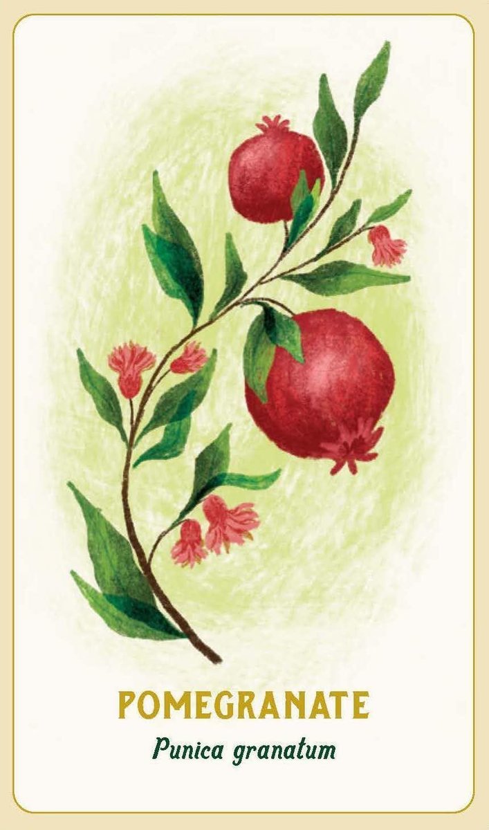 Forest Magic Oracle: A Deck and Guidebook for Green Witches