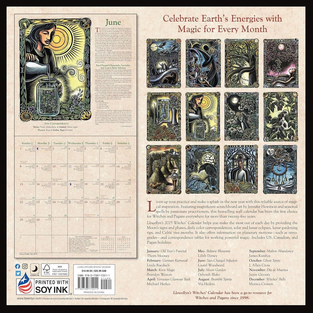 Llewellyn's 2025 Witches' Calendar (Llewellyn's 2025 Calendars, Almanacs & Datebooks)