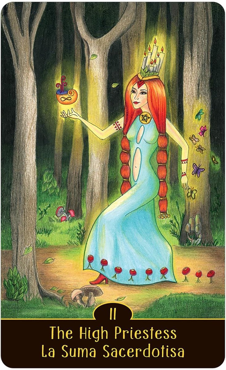 Sortilegium Tarot Deck & Book Set