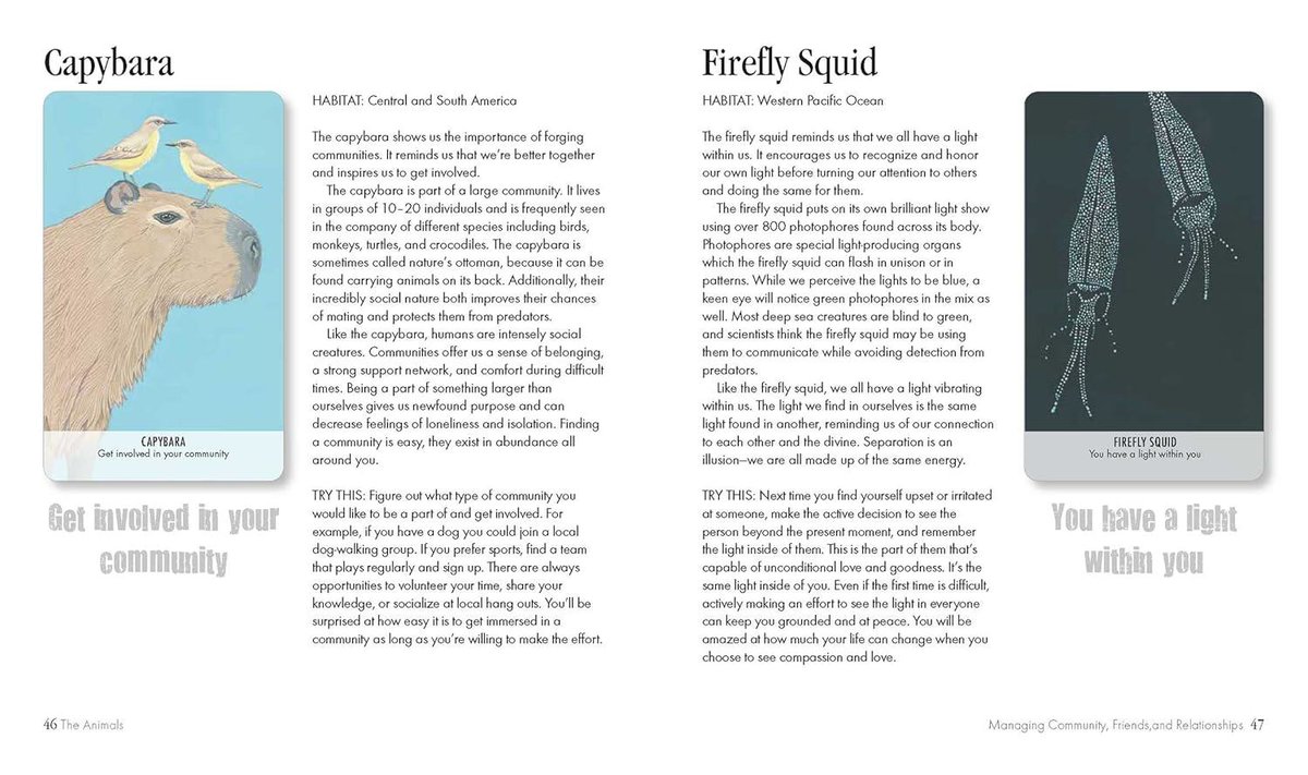 Unusual Animal Messages Oracle Deck: Includes 52 Cards and a 64-Page Illustrated Book