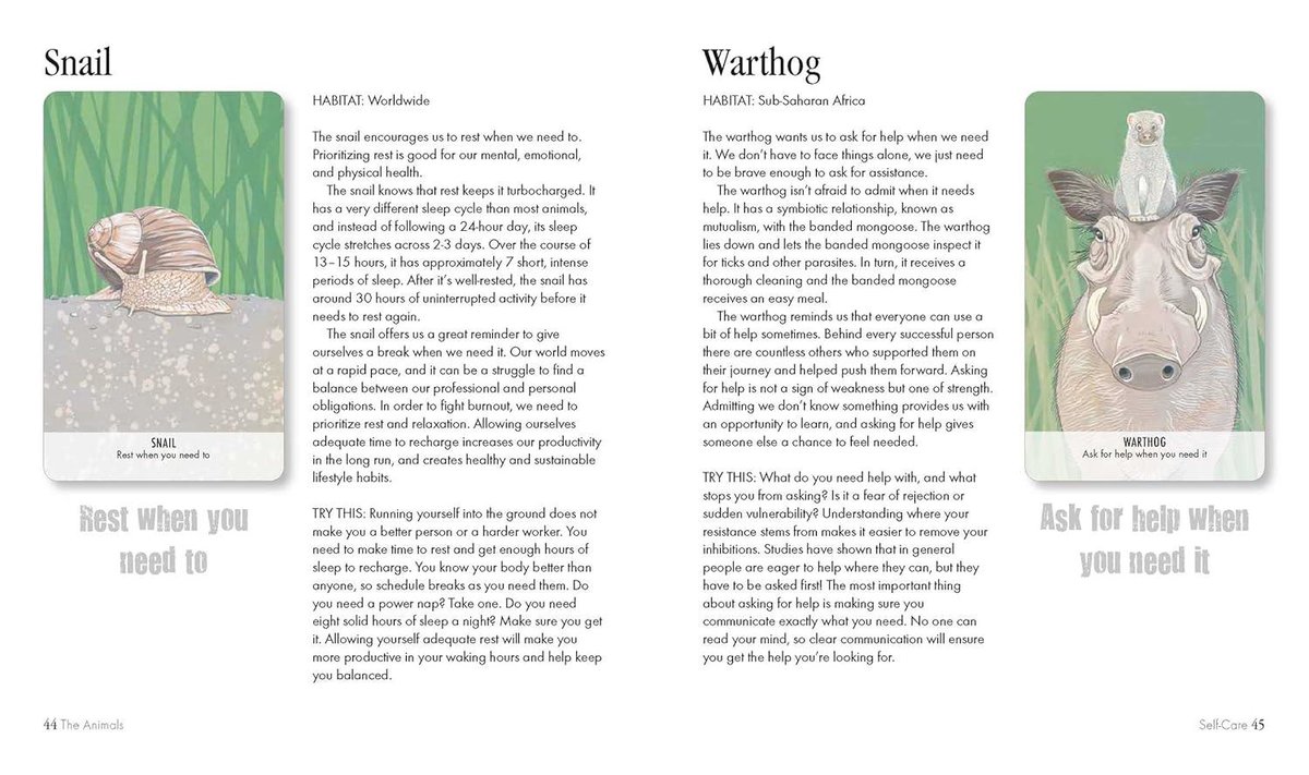 Unusual Animal Messages Oracle Deck: Includes 52 Cards and a 64-Page Illustrated Book