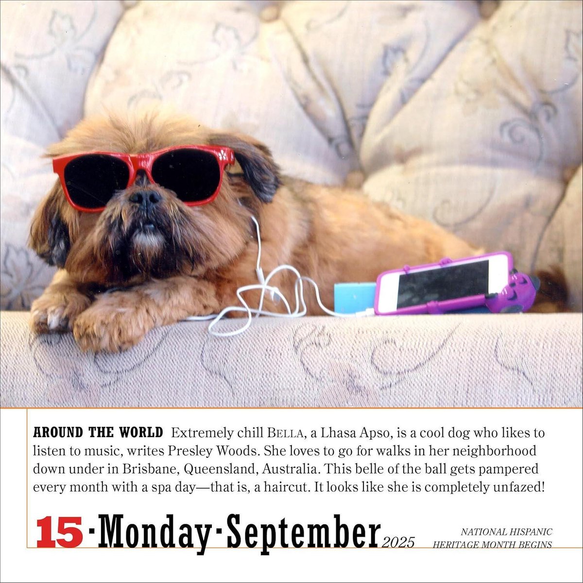 365 dogs page-a-day(r) calendar 2025: the world's favorite dog calendar