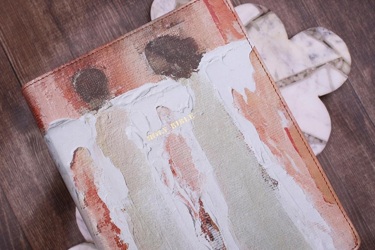 Amplified Holy Bible, Anne Neilson Angel Art Series, Leathersoft, Blush