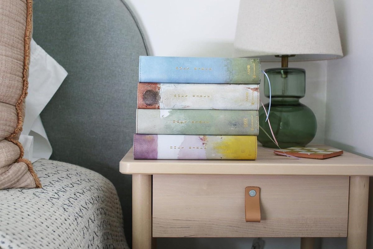 Nrsvue, Holy Bible, Anne Neilson Angel Art Series, Leathersoft, Multi-Color, Comfort Print
