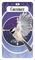 The Avian Oracle: (45 Full-Color Cards and 60-Page Guidebook)