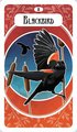 The Avian Oracle: (45 Full-Color Cards and 60-Page Guidebook)