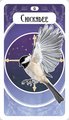The Avian Oracle: (45 Full-Color Cards and 60-Page Guidebook)