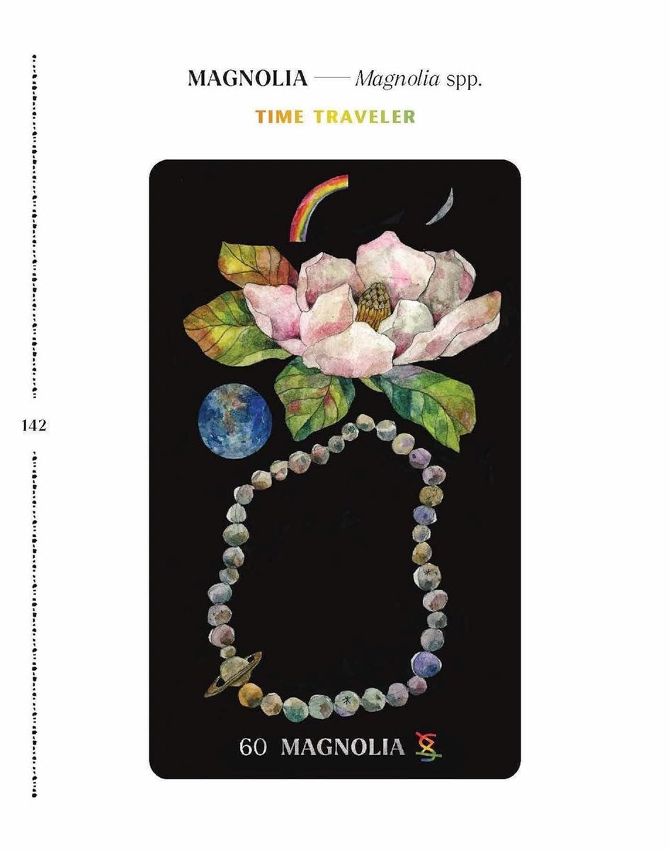 Dirt Gems: Plant Oracle Deck and Guidebook