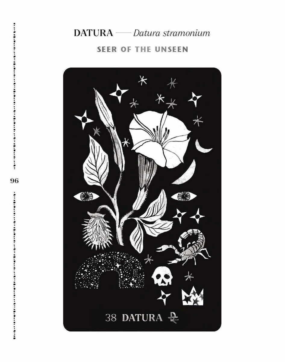 Dirt Gems: Plant Oracle Deck and Guidebook