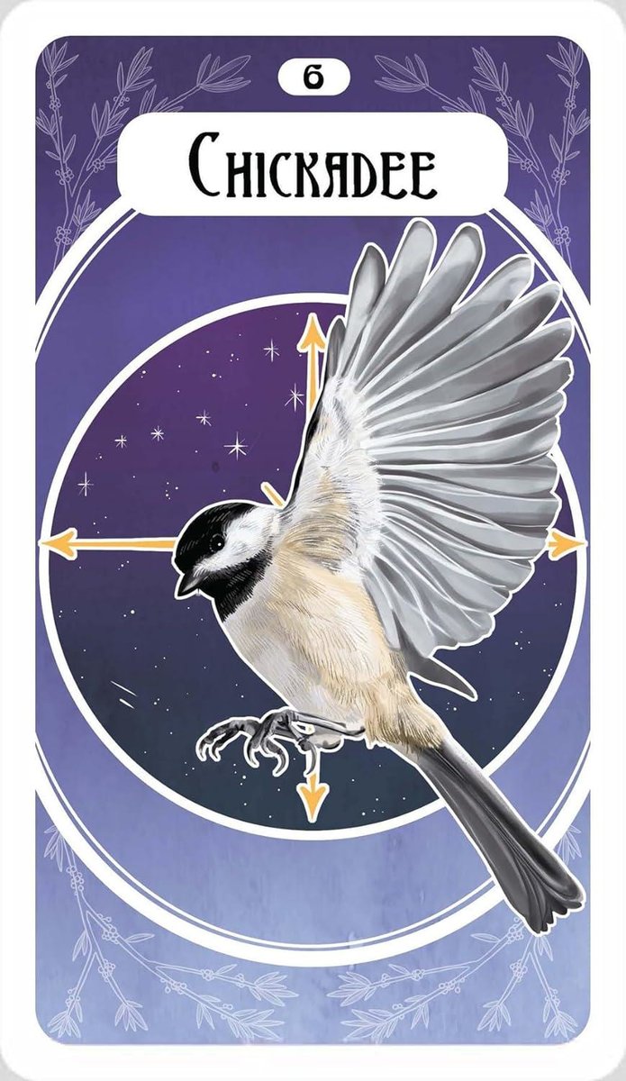 The Avian Oracle: (45 Full-Color Cards and 60-Page Guidebook)