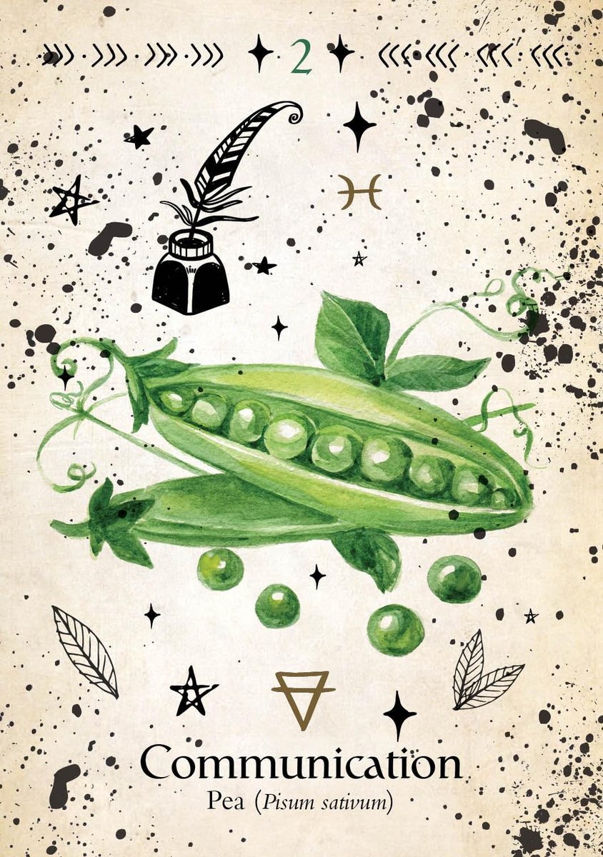 Green Witch Oracle Cards: Discover Real Secrets of Botanical Magick